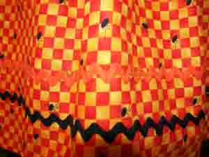 Hokus Pokus close up