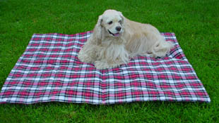 Quilted Red plaid blanket