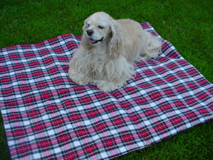 Red plaid dog blanket