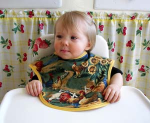 Chicken baby bib, click for more views