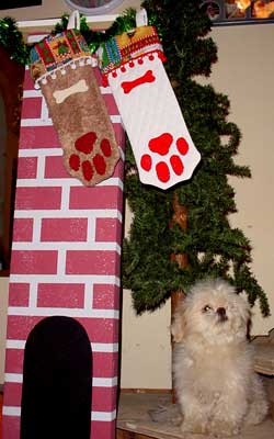 Click for larger view of dog paw stocking